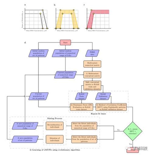 发展认知神经科学 基于可解释的人工智能模型分析婴儿的fnirs数据