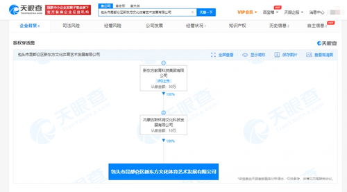 新东方成立文化体育艺术发展公司